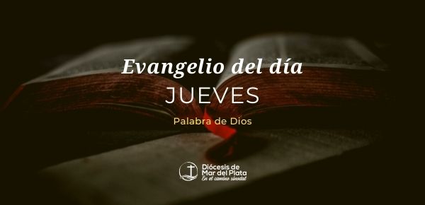 Evangelio según San Juan 17,20-26.