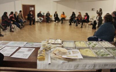 CÁRITAS: PROYECTO WENCESLAO PEDERNERA.