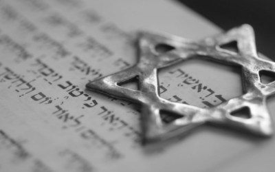 BUSCA LA PAZ Y PERSÍGUELA.