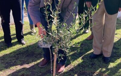 MAR DEL SUD – EL OBISPO GABRIEL PARTICIPO DEL ACTO INTERRELIGIOSO POR LA PAZ