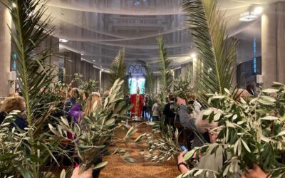 “QUE EL RAMITO DE OLIVO NOS RECUERDE QUE CRISTO ES NUESTRA PAZ»         Celebración del Domingo de Ramos presidida por Mons. Gabriel Mestre