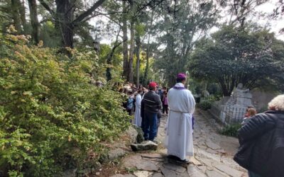 PEREGRINACIÓN DIOCESANA A TANDIL