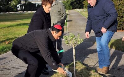 Monseñor Mestre acompaña a la comunidad judía de Mar del Plata a 28 años del atentado a la AMIA.