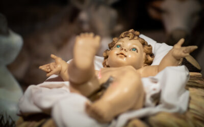 “LES ANUNCIO UNA GRAN ALEGRIA:                                      ¡Hoy les ha nacido el Salvador!»