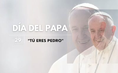 “Tú eres Pedro” (Mt 16,18)