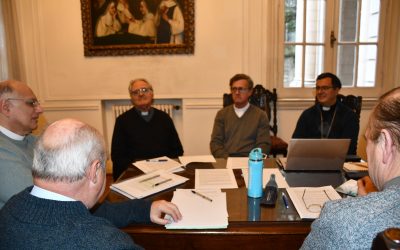 MESTRE PARTICIPA DE LA COMISIÓN PERMANENTE DE LA CEA.