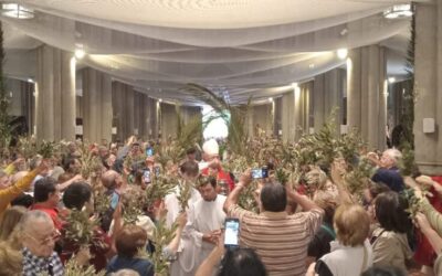 Domingo de Ramos: Mons. Giobando pidió que “los ramitos que llevamos sean signo de paz”